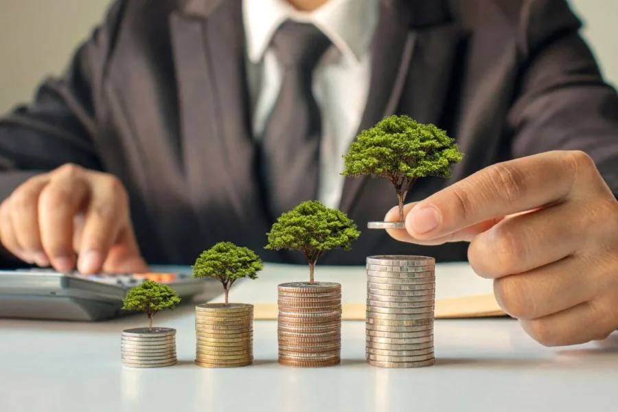 Como organizar as despesas anuais para não comprometer o orçamento em determinados meses